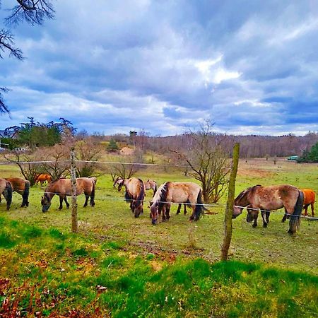Nadmorska Osada Villa Oslonino Bagian luar foto
